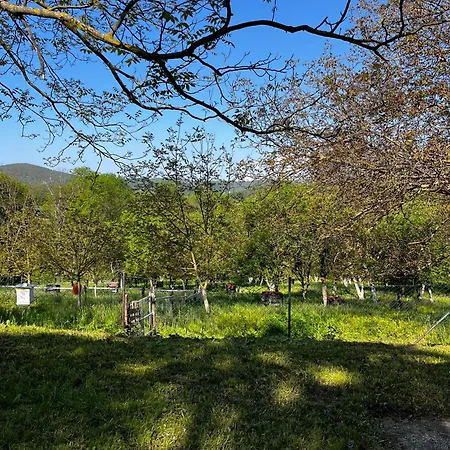 Ferienhaus Ostojino Osoje *