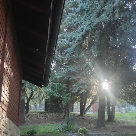 Ostojino Osoje Sarani